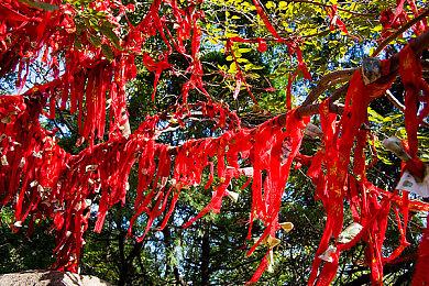 《中世纪王朝》-主要路线图更新第五弹！关系、商店、供应商、山猫，以及更多